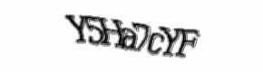 Security check image, please type the characters shown